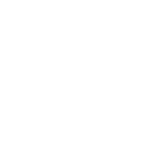 Vimeo Icon