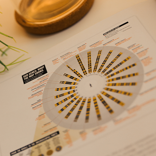 Visual Communication Design: Layout and Composition